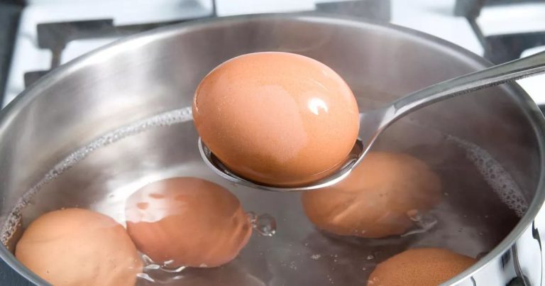 Bizarre Food Habits Have Been Passed Down for Generations