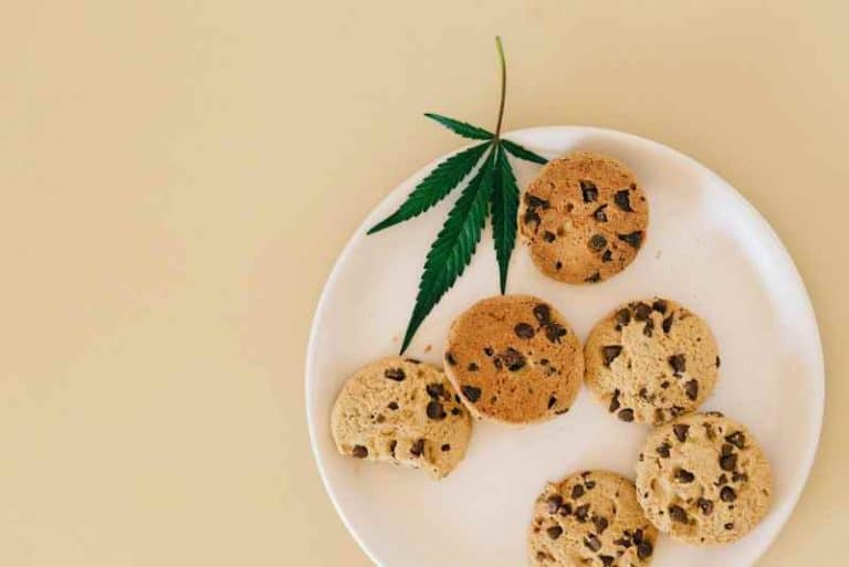 The Science and Safety of THC Edibles: What Home Cooks Should Know Knead to Cook