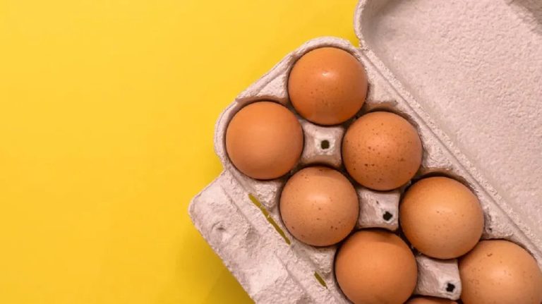 Eggs and bacteria growth risk