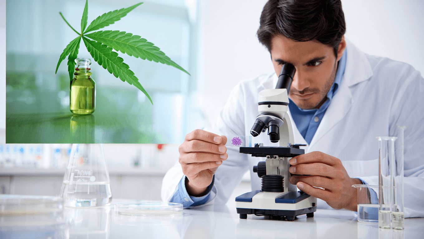 CBD, THC May Provide New Ovarian Cancer Treatments, Study Finds