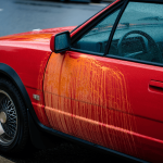 British drivers issued urgent warning of 'blood rain' this week or risk 'long-term damage'