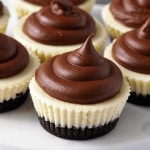 Chocolate Mousse Mini Oreo Cheesecakes