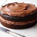 OMG Chocolate Chocolate Cake