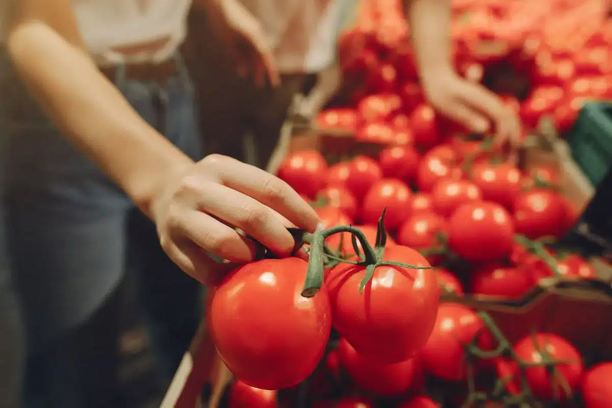 Person selecting whole fresh fruits and vegetables at a grocery store display