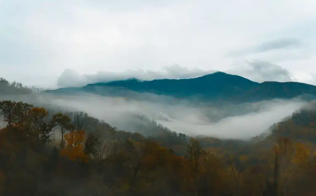 Aerial view of a mountain theme park with roller coasters and visitor attractions nestled in Tennessee foothills