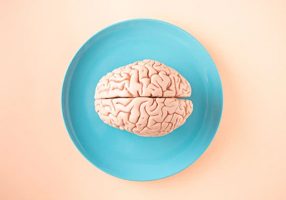 Illustration of brain neurotransmitter activity showing dopamine and norepinephrine pathways
