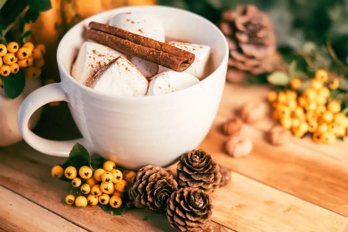 Mug of hot apple cider with a cinnamon stick and orange wheel