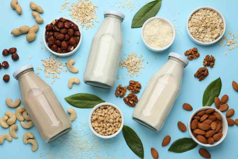 How to Make Plant-Based Milk at Home: Methods, Safety Tips, and Practical Guidance Knead to Cook