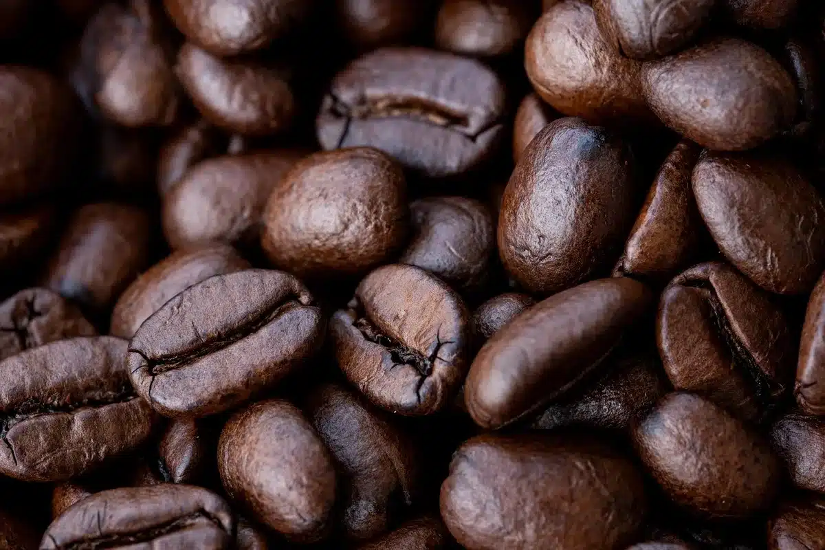 Close-up of freshly ground coffee near a nose inhaling aroma