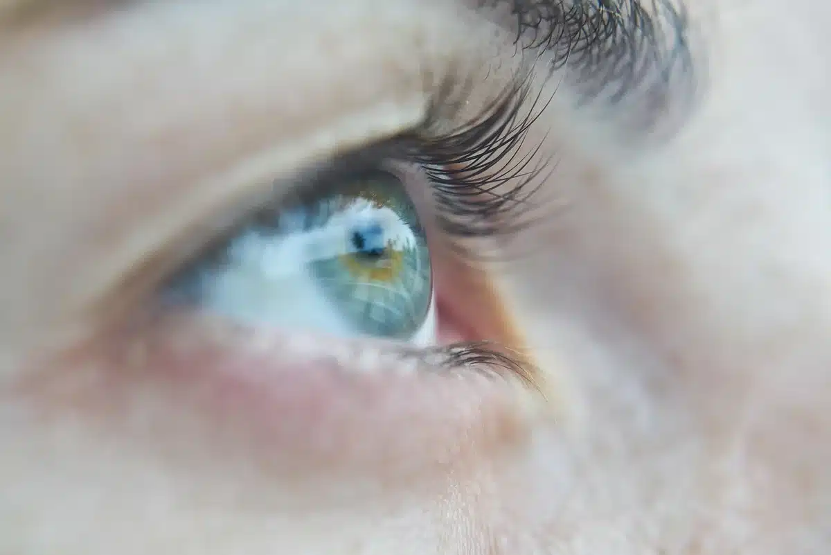 Close-up diagram of eye showing optic nerve and blood vessels